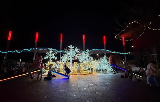 Cincinnati Parks Sparkle with Holiday Festivities: From Krohn Conservatory's Fern Festival to Christkindlmarkt Merriment