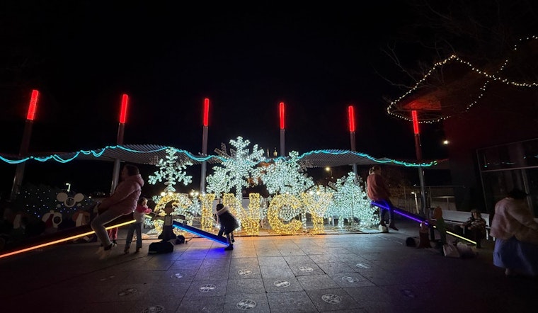 Cincinnati Parks Sparkle with Holiday Festivities: From Krohn Conservatory's Fern Festival to Christkindlmarkt Merriment