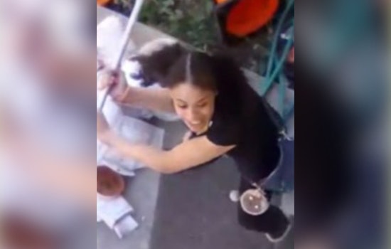 Cincinnati Police Seek Public Assistance to Identify Suspect in Glenridge Place Vandalism