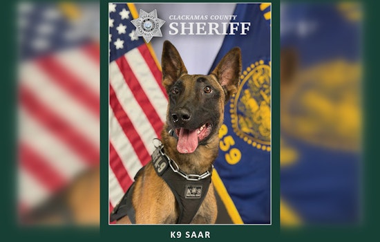 Clackamas County Sheriff's Office Welcomes K9 Saar, a Dutch-Trained Belgian Malinois, to the Force