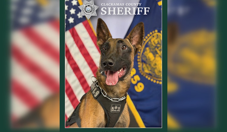 Clackamas County Sheriff's Office Welcomes K9 Saar, a Dutch-Trained Belgian Malinois, to the Force