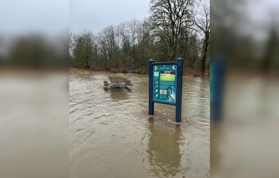 Clark County Battles Severe Weather Fallout with Road Closures and Park Impacts
