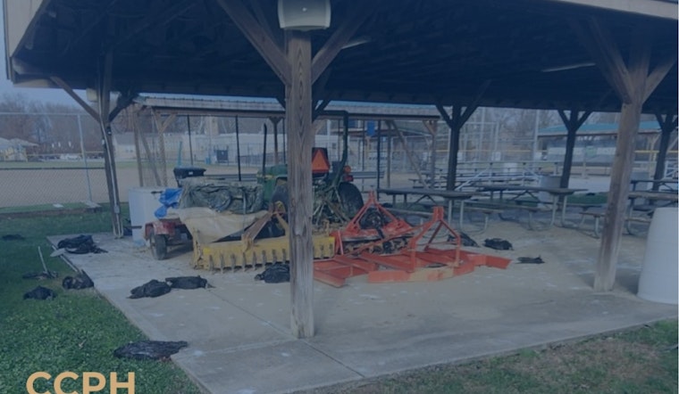 Clermont County on Alert as Bird Flu Suspected in Vulture Deaths, Public Advised to Take Precautions