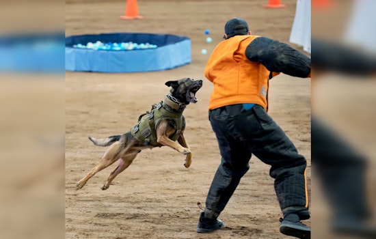 Coconino County Sheriff's K-9 Teams Shine in Drug Detection and Desert Dog K9 Trials