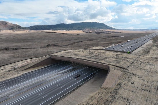 Colorado Unveils North America's Largest Wildlife Overpass, Aiming to Prevent Animal-Vehicle Collisions on I-25