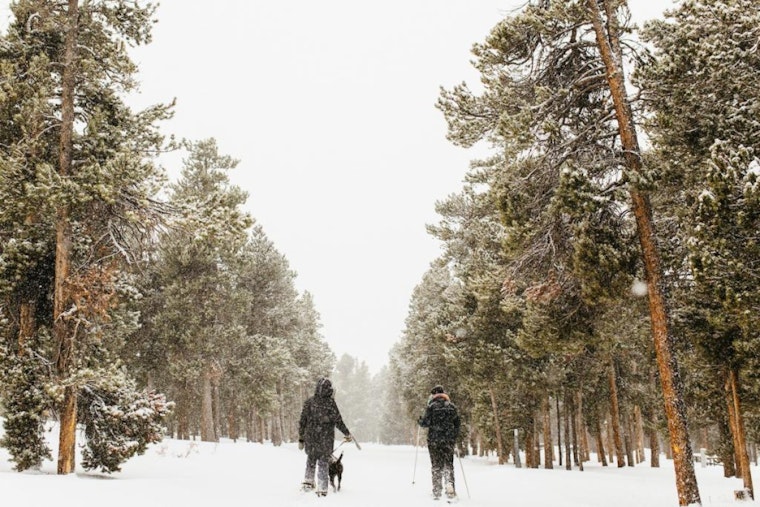 Colorado's Outdoors Strategy Springs into Action with $9.99M in Grants for Conservation and Recreation Projects