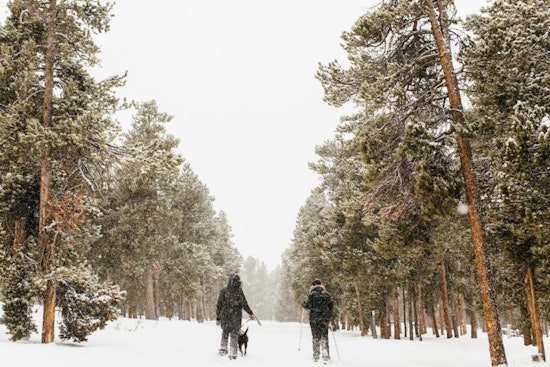 Colorado's Outdoors Strategy Springs into Action with $9.99M in Grants for Conservation and Recreation Projects