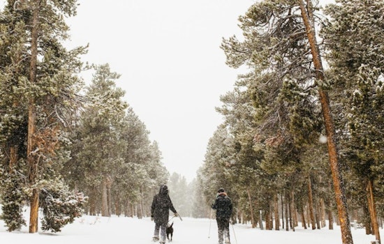 Colorado's Outdoors Strategy Springs into Action with $9.99M in Grants for Conservation and Recreation Projects