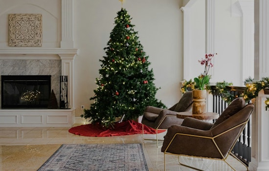 Concord Reminds Residents About Proper Christmas Tree Disposal Post-Holidays