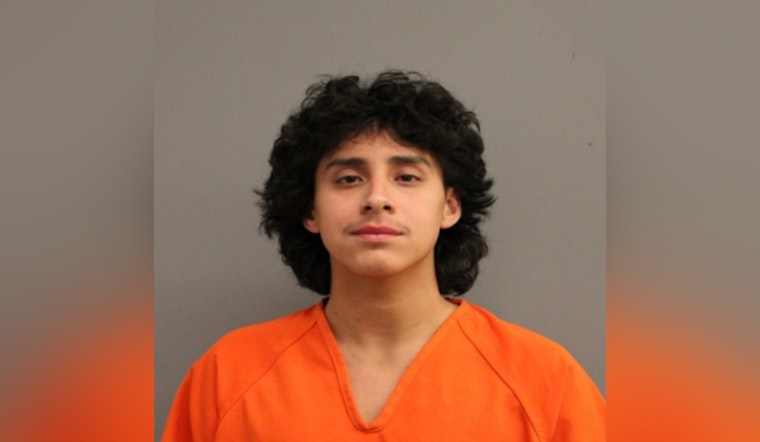 Constable's Office Apprehends Suspected Drunk Driver on Hardy Toll Road, Affirms Commitment to Safer Roads