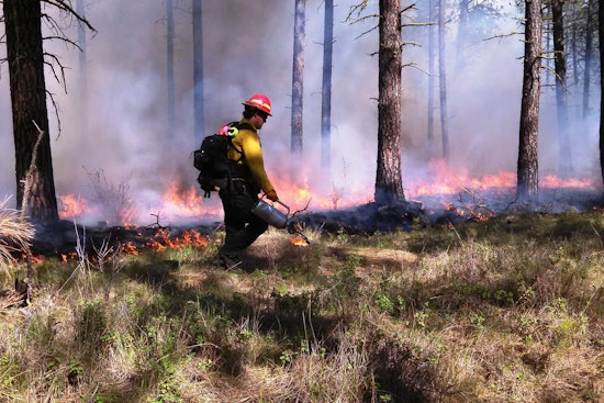 Controlled Burns on Fort Apache Indian Reservation Aim to Mitigate Wildfire Risks