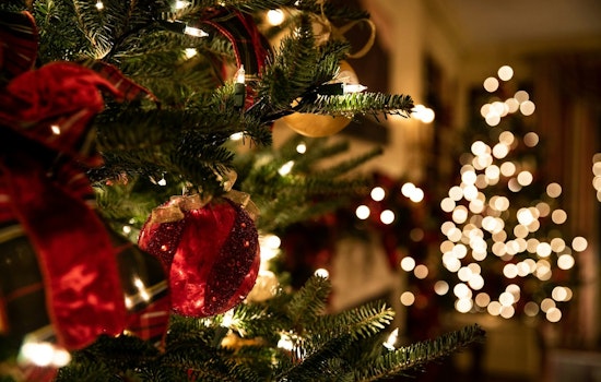 Coon Rapids Announces Dazzling Winners of the 2025 Holiday Lighting Contest