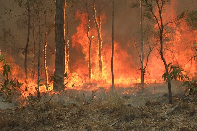 Creek Fire Flares Up In Mono County High Country Near Mammoth Lakes