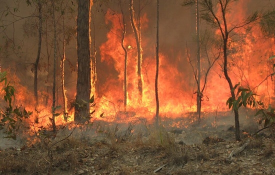 Creek Fire Flares Up In Mono County High Country Near Mammoth Lakes