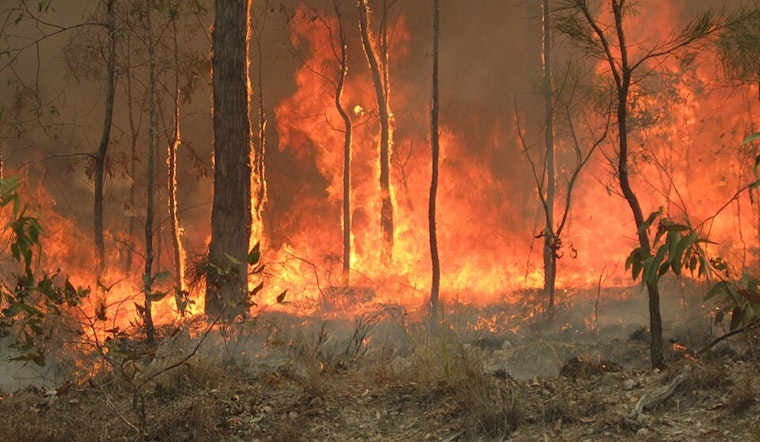 Creek Fire Flares Up In Mono County High Country Near Mammoth Lakes