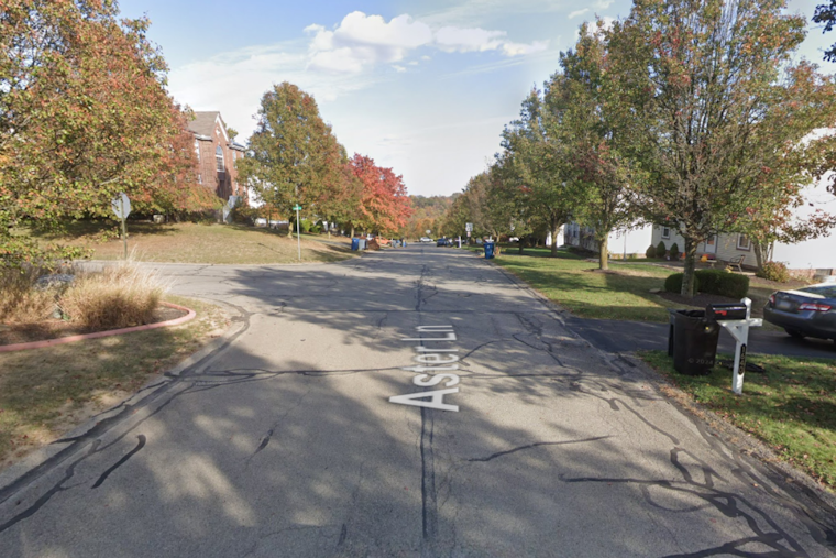 Crescent Township on Alert: Bear Spotted, Police Urge Vigilance and Pet Safety