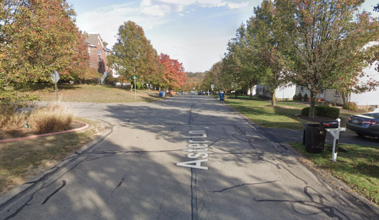 Crescent Township on Alert: Bear Spotted, Police Urge Vigilance and Pet Safety