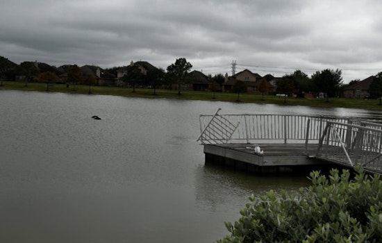 Cypress Pond Shock As Submerged Car Turns Up Body