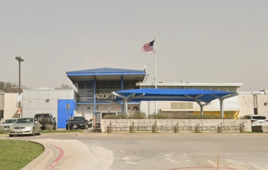 Dallas Animal Services Hosts "Calming the Canines" Event on New Year's Eve to Soothe Shelter Pets Amid Fireworks