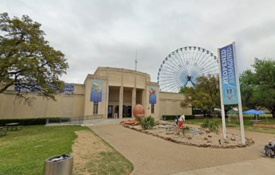 Dallas Aquarium Becomes Lifeboat For Miami Seaquarium’s Homeless Sea Life