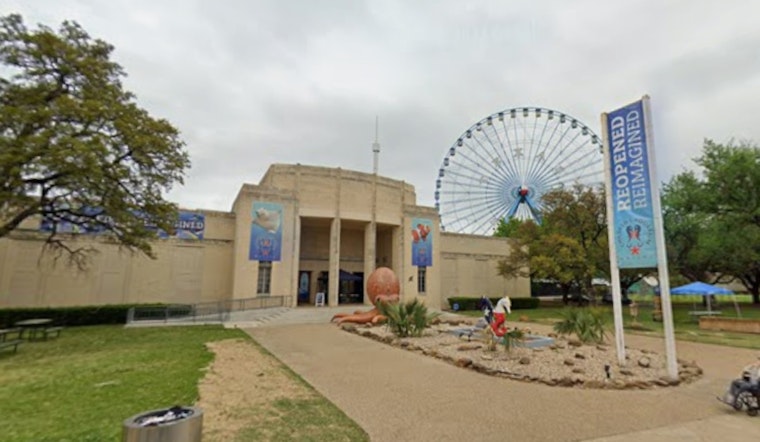 Dallas Aquarium Becomes Lifeboat For Miami Seaquarium’s Homeless Sea Life