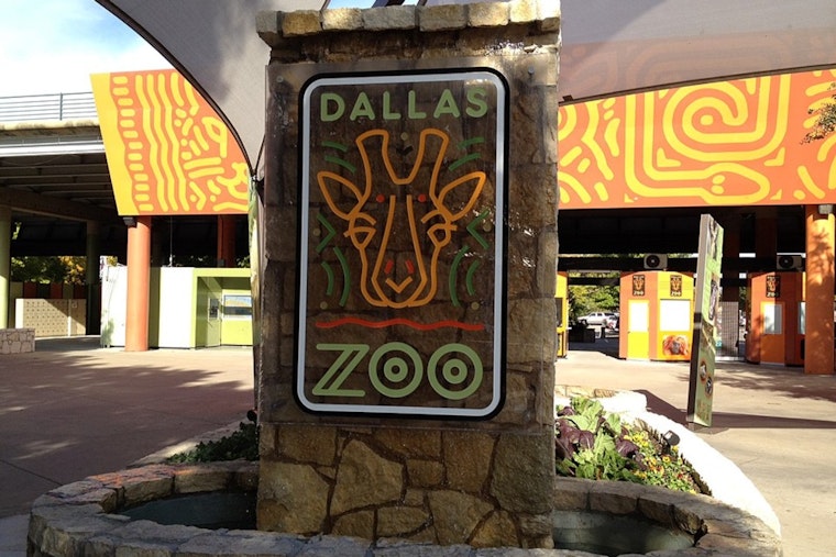 Dallas Council Approves $90M Safari Trail At Dallas Zoo