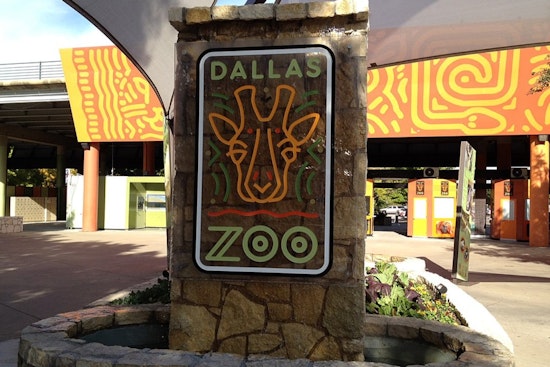 Dallas Council Approves $90M Safari Trail At Dallas Zoo