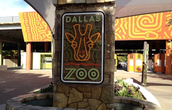 Dallas Council Approves $90M Safari Trail At Dallas Zoo