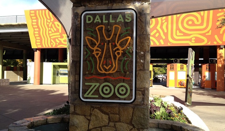 Dallas Council Approves $90M Safari Trail At Dallas Zoo