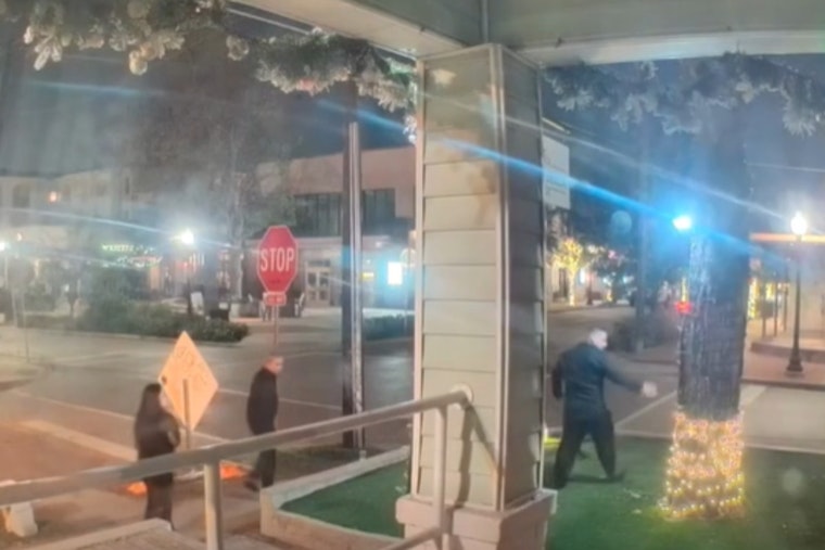 Dallas Police Hunt for Suspect Vandalizing Christmas Decorations on N. Bishop Ave