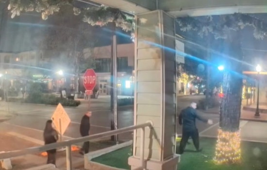 Dallas Police Hunt for Suspect Vandalizing Christmas Decorations on N. Bishop Ave