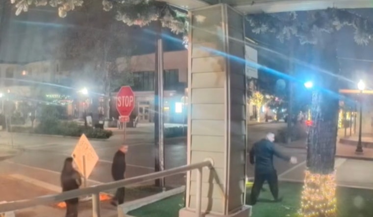 Dallas Police Hunt for Suspect Vandalizing Christmas Decorations on N. Bishop Ave