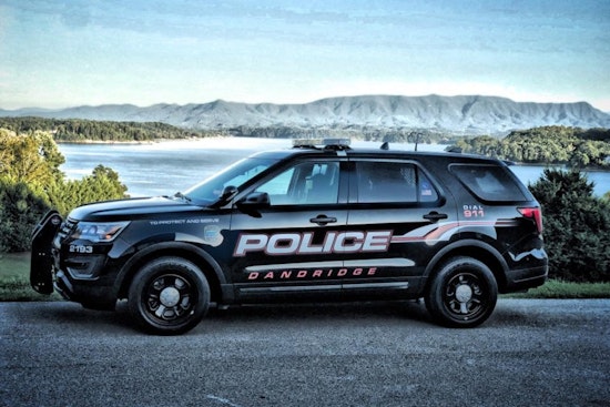 Dandridge Police Issue Bear Activity Alert in Downtown and Surrounding Areas