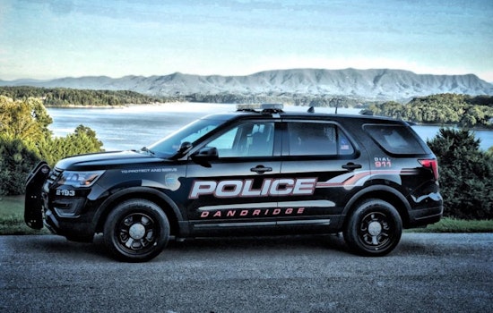 Dandridge Police Issue Bear Activity Alert in Downtown and Surrounding Areas