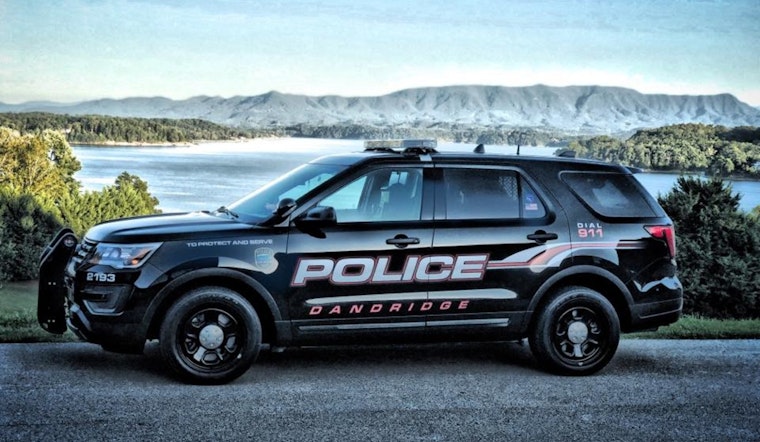 Dandridge Police Issue Bear Activity Alert in Downtown and Surrounding Areas