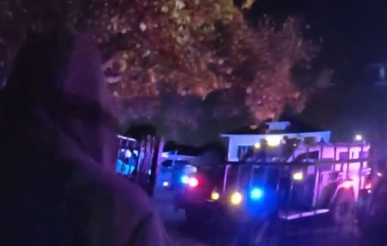 Danville Police Nab Suspect in November Vehicle Theft Spree Through Multi-Agency Effort
