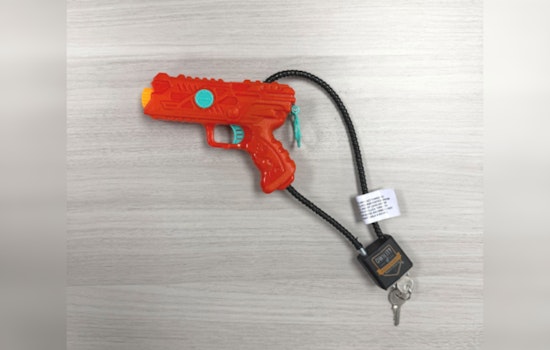 Dearborn Secures $101K Grant for Community-Focused Gun Safety Initiative