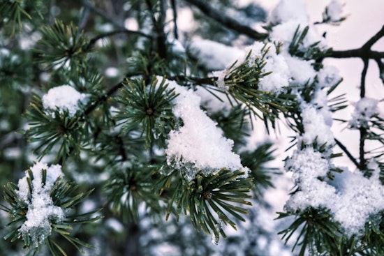 DeKalb County Responds to Freeze with Warming Centers in Decatur and Atlanta
