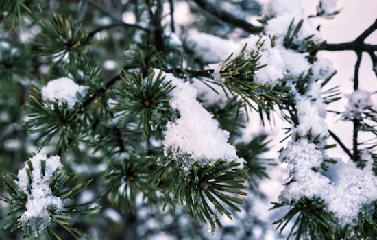 DeKalb County Responds to Freeze with Warming Centers in Decatur and Atlanta