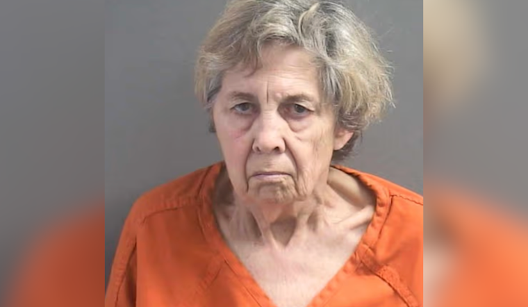 DeLand Woman Charged with Attempted Murder in Alleged Murder-Suicide Plot Involving Disabled Great-Granddaughter