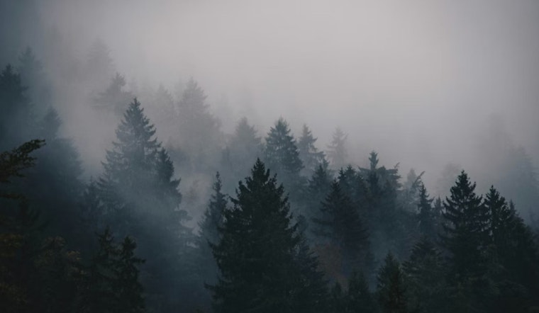 Dense Fog Advisory in Jacksonville Area Clears for Sunny Forecast Ahead