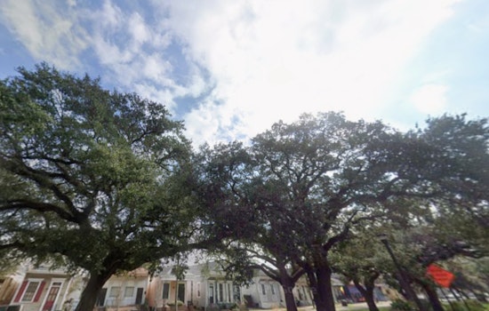Dense Fog Advisory in New Orleans Disrupts Travel, NWS Urges Caution