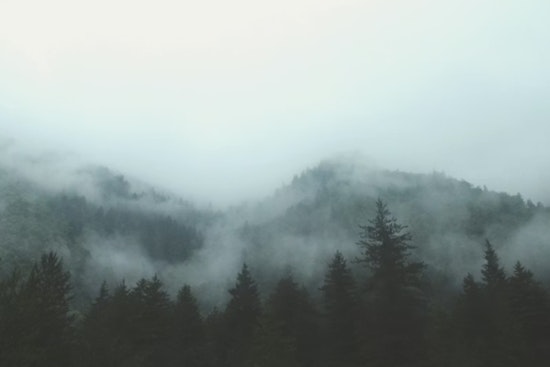 Dense Fog and Showers Expected in Upcoming Weather Forecast