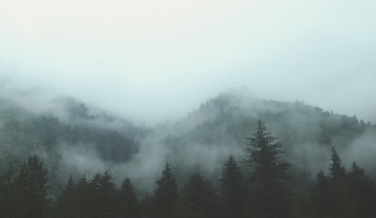 Dense Fog and Showers Expected in Upcoming Weather Forecast