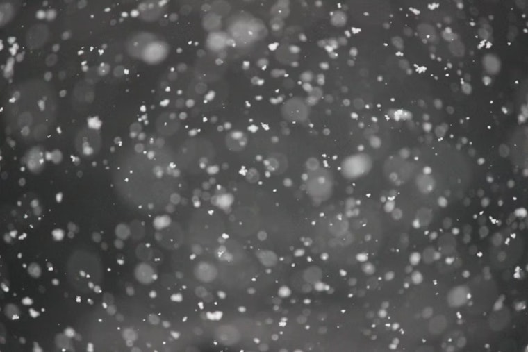 Denver Greets Morning Snowfall, Warmer Week Ahead Despite Weekend Travel Advisory