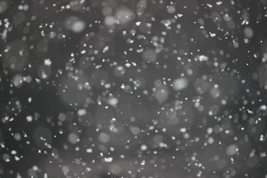 Denver Greets Morning Snowfall, Warmer Week Ahead Despite Weekend Travel Advisory