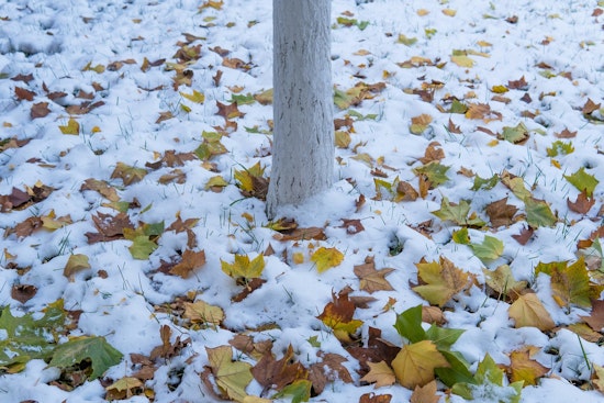 Detroit Braces for Snow and Freezing Rain, Wintry Conditions to Persist Throughout the Week