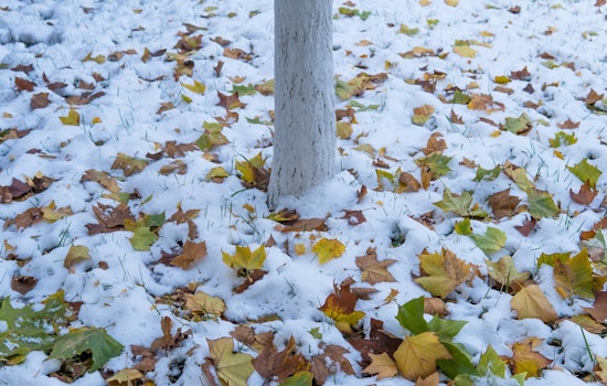 Detroit Braces for Snow and Freezing Rain, Wintry Conditions to Persist Throughout the Week