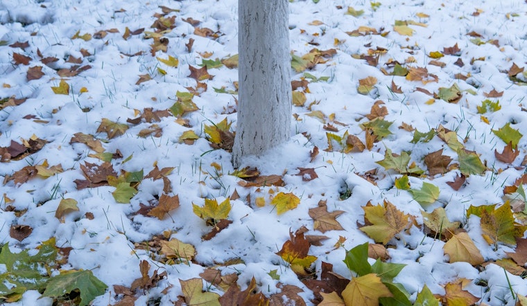 Detroit Braces for Snow and Freezing Rain, Wintry Conditions to Persist Throughout the Week