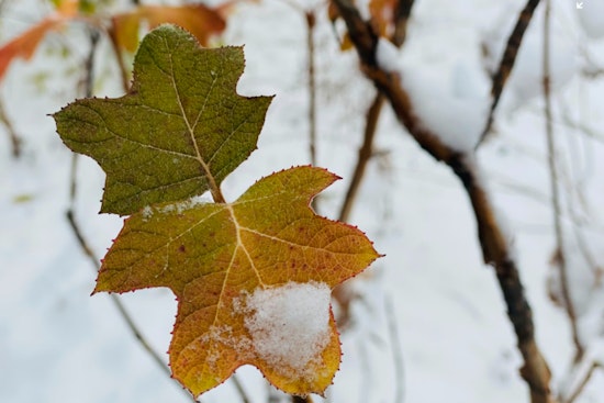 Detroit Braces for Winter Weather, Snow Showers and Blustery Winds Expected as Year Ends